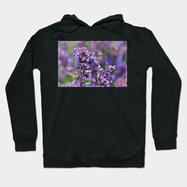 Lavender Flowers Hoodie by InspiraImage